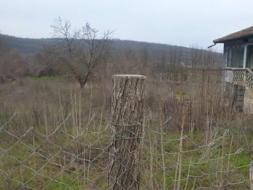 Продава Къща 1800кв-Пожарево Община Тутракан Област Силистра-България